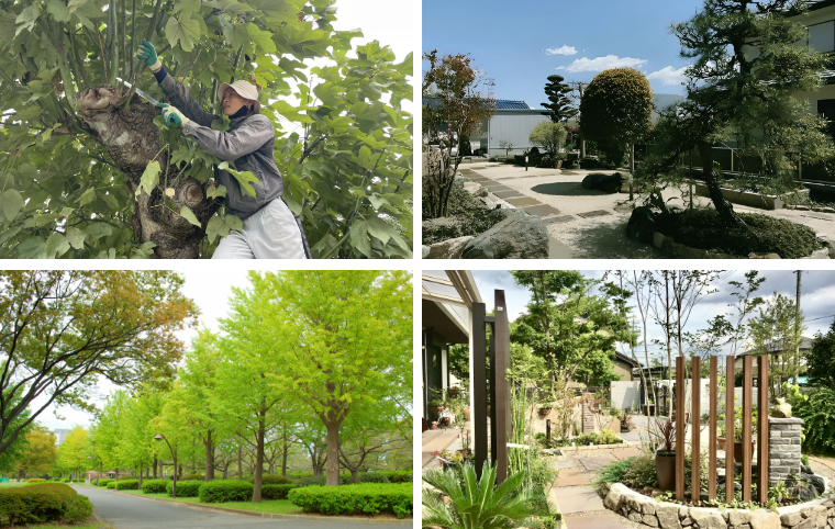 公園や街路樹の伐採・剪定業務 イメージ写真