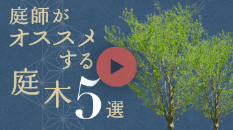 庭師がオススメする庭木5選　動画リンクバナー