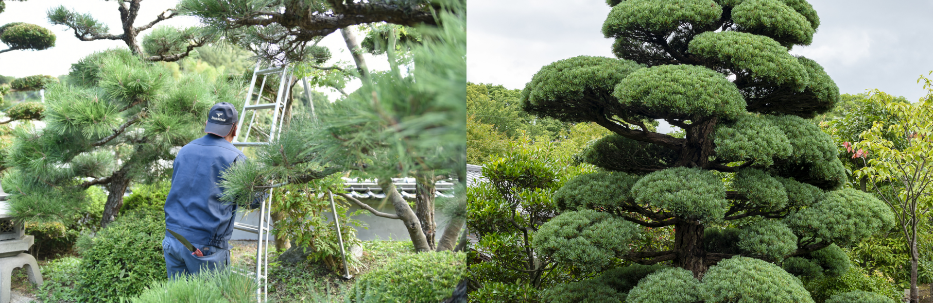 植栽管理　イメージ写真