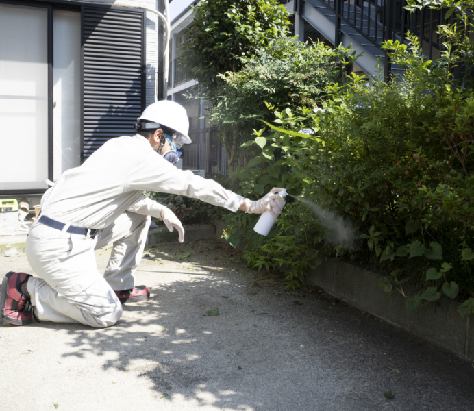 害虫駆除　イメージ写真