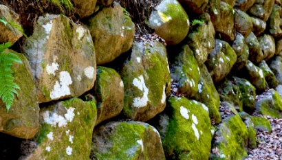 仲根石工造園　石垣　写真