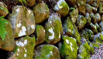 仲根石工造園　石垣　写真